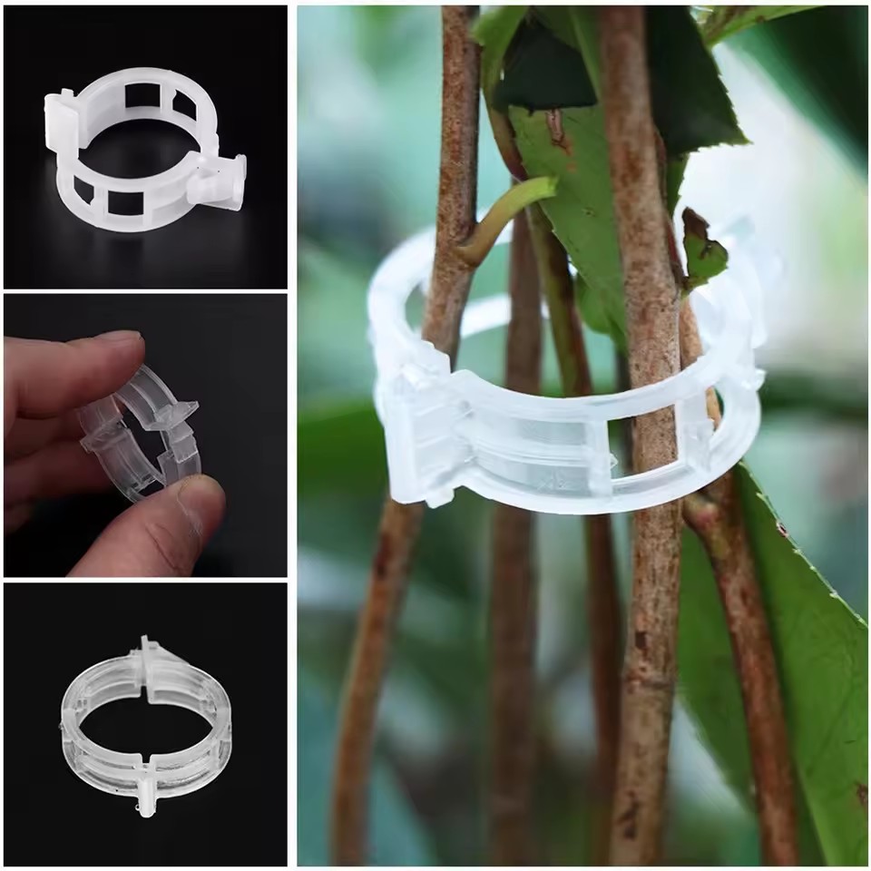20Pcs Plant Support Clips,Snap - Gardening Tools Vegetables review and price