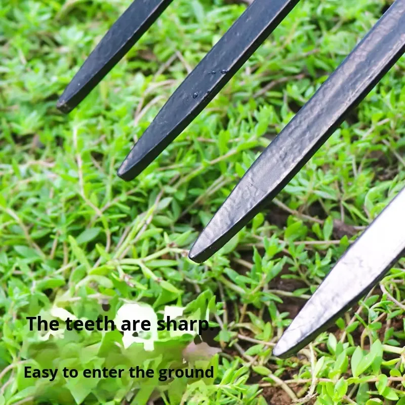 for Four Tooth Steel Iron Fork - Spade Digging Fork review and price