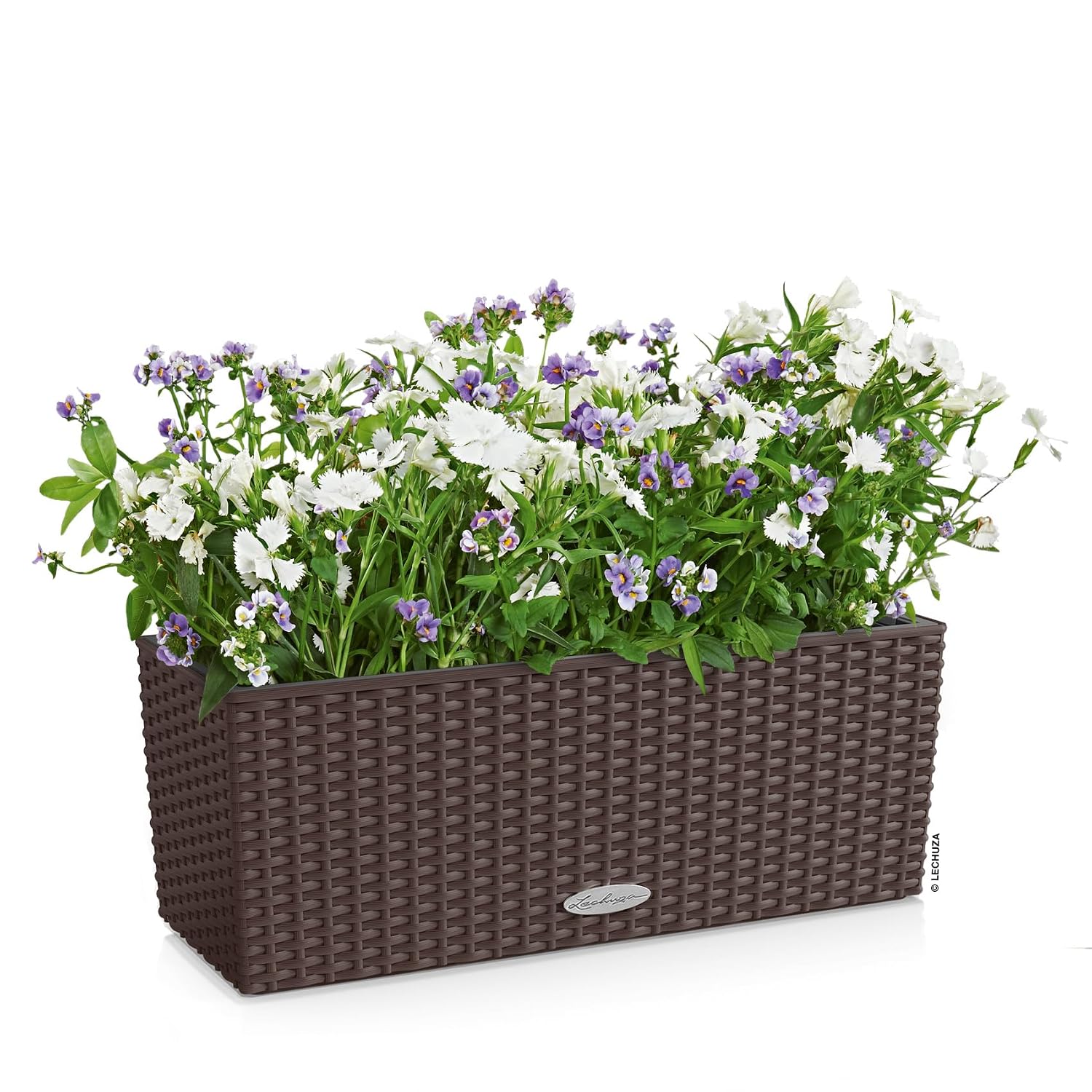 BALCONERA Cottage 50 Mocha, Se - Self-Watering Planter review and price