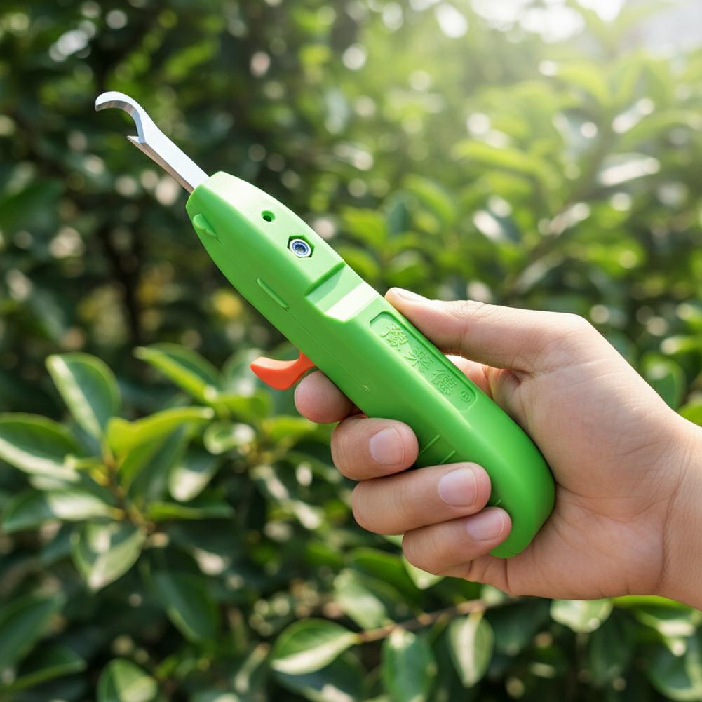 Fruit And Vegetable Picking Sh - Gardening Tools Vegetables review and price