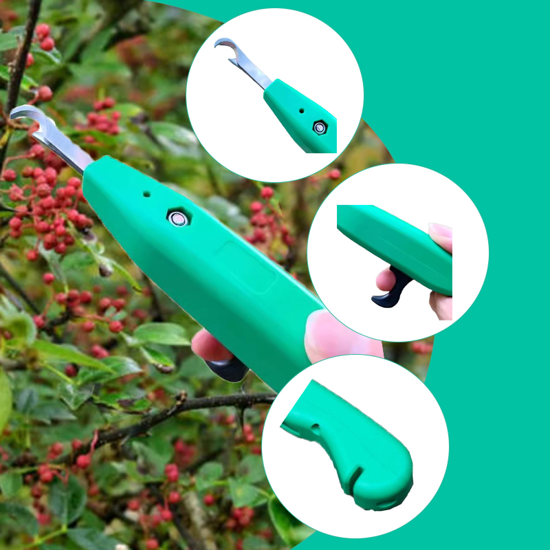 Professional Pepper Picker Han - Gardening Tools Vegetables review and price