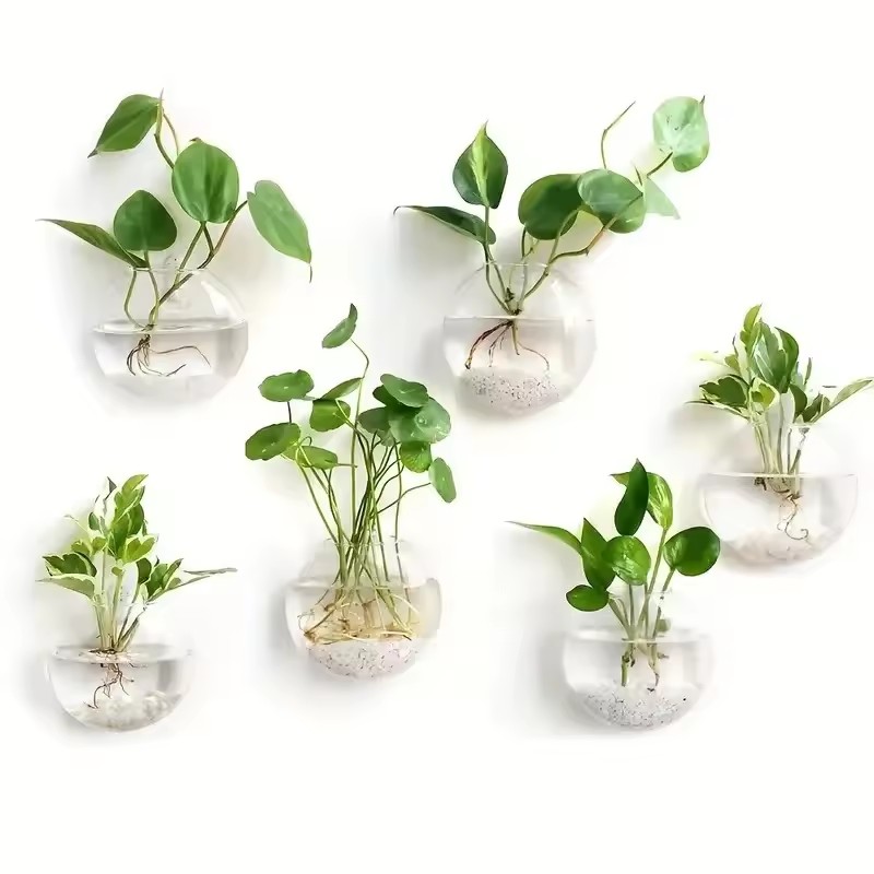 2/4/6 Pack Wall Hanging Glass  - Self-Watering Planter review and price