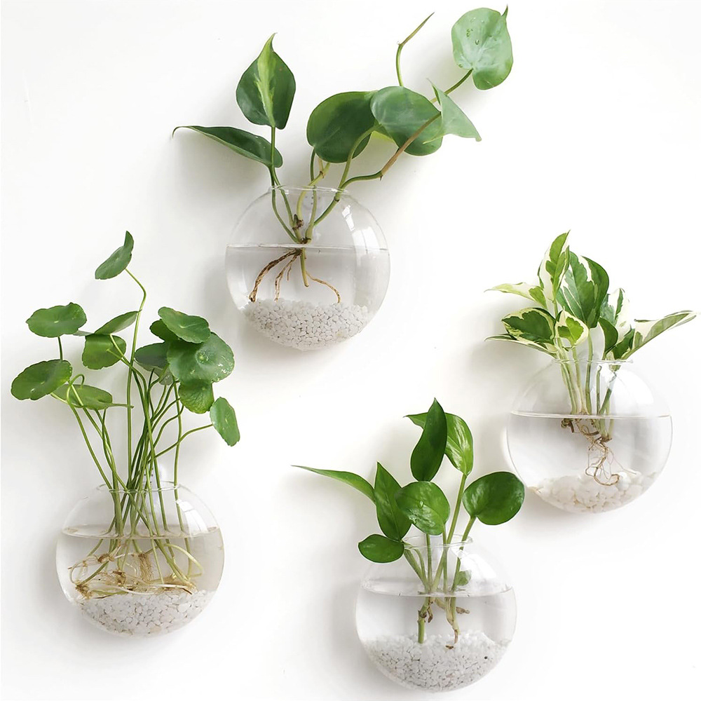 2/4/6 Pack Wall Hanging Glass  - Self-Watering Planter review and price