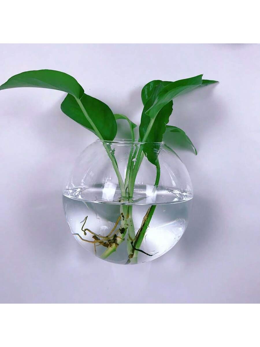 2/4/6 Pack Wall Hanging Glass  - Self-Watering Planter review and price
