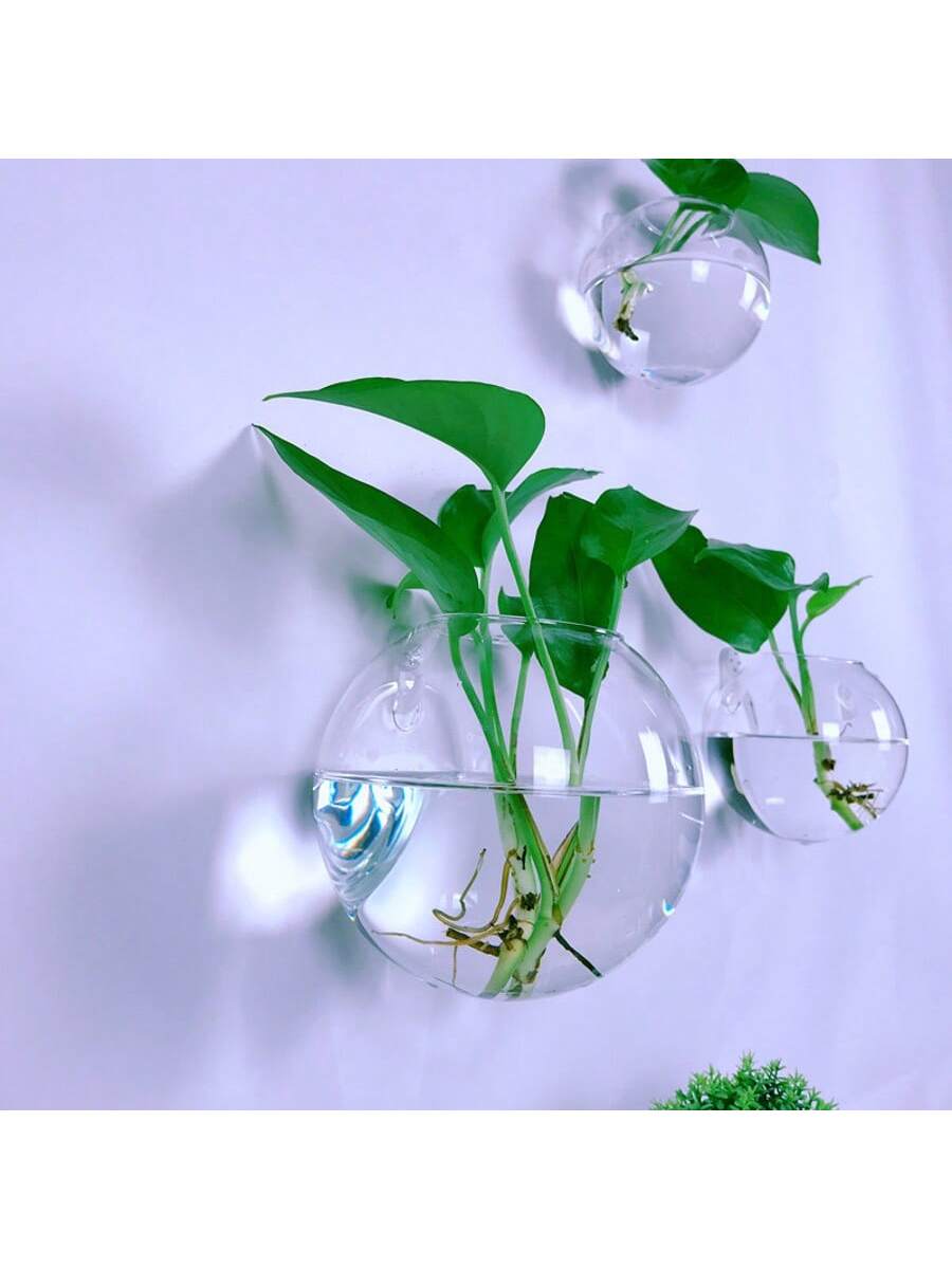2/4/6 Pack Wall Hanging Glass  - Self-Watering Planter review and price