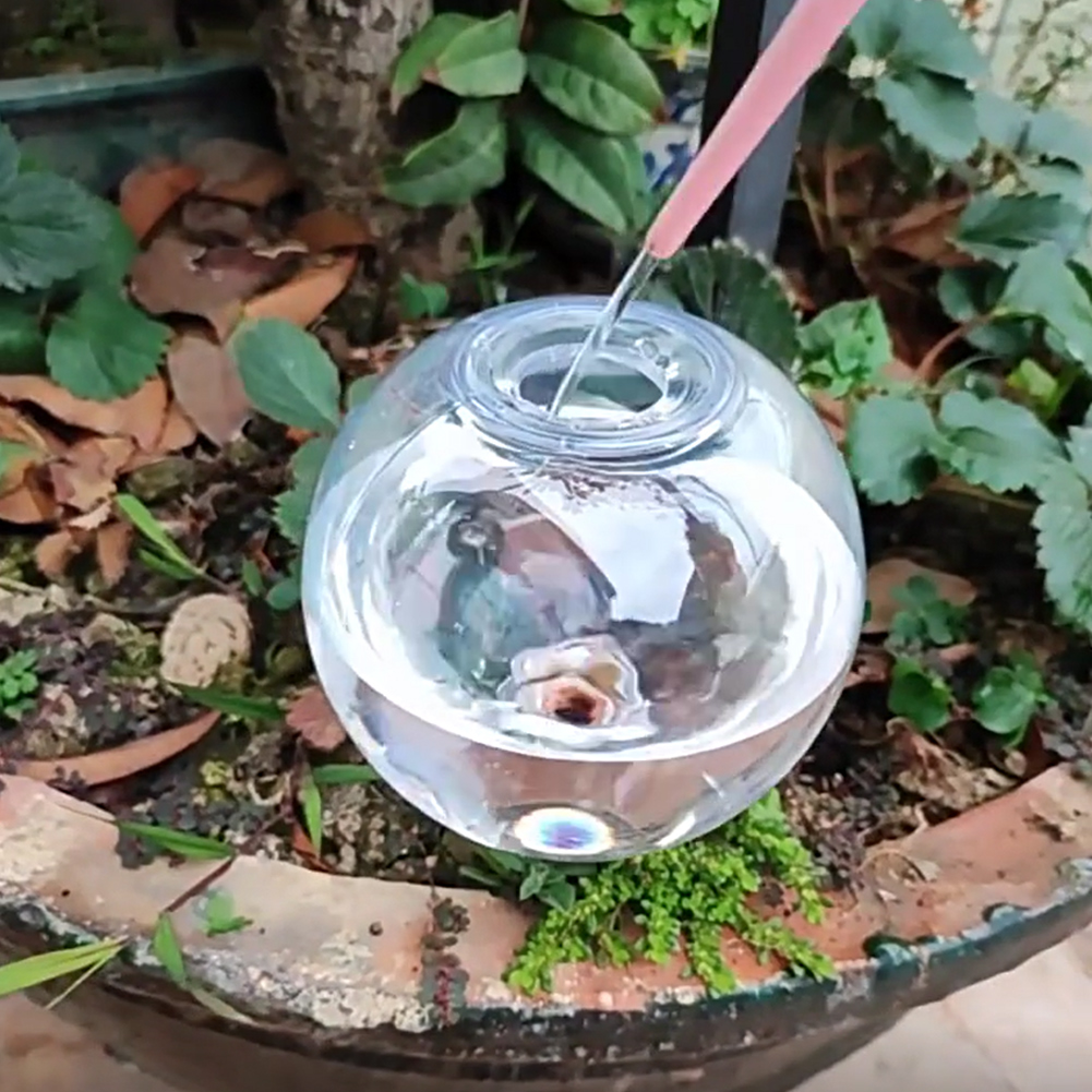 500ML Self Watering Globes Dri - Self-Watering Planter review and price