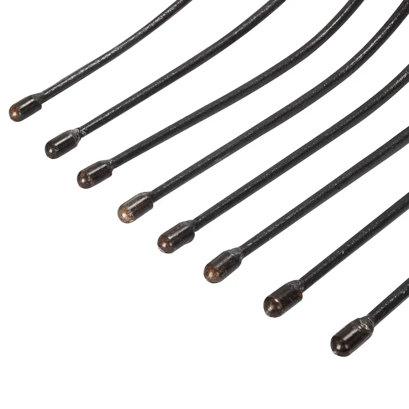 for Winslow & Ross 4 Teeth For - Spade Digging Fork review and price